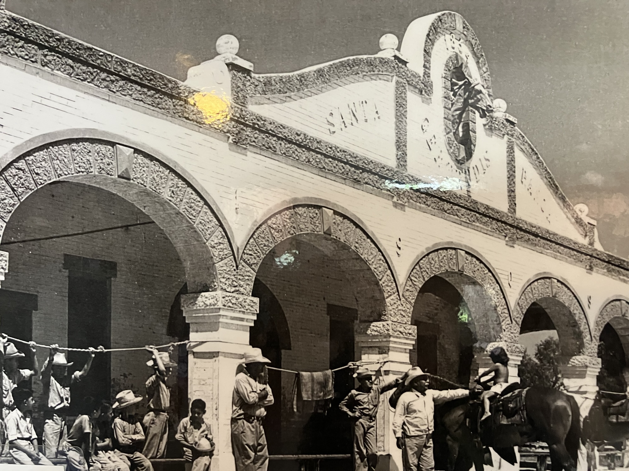 Urlaub auf dem Bauernhof oder Neue Ideen zur Vermarktung eines Hofes